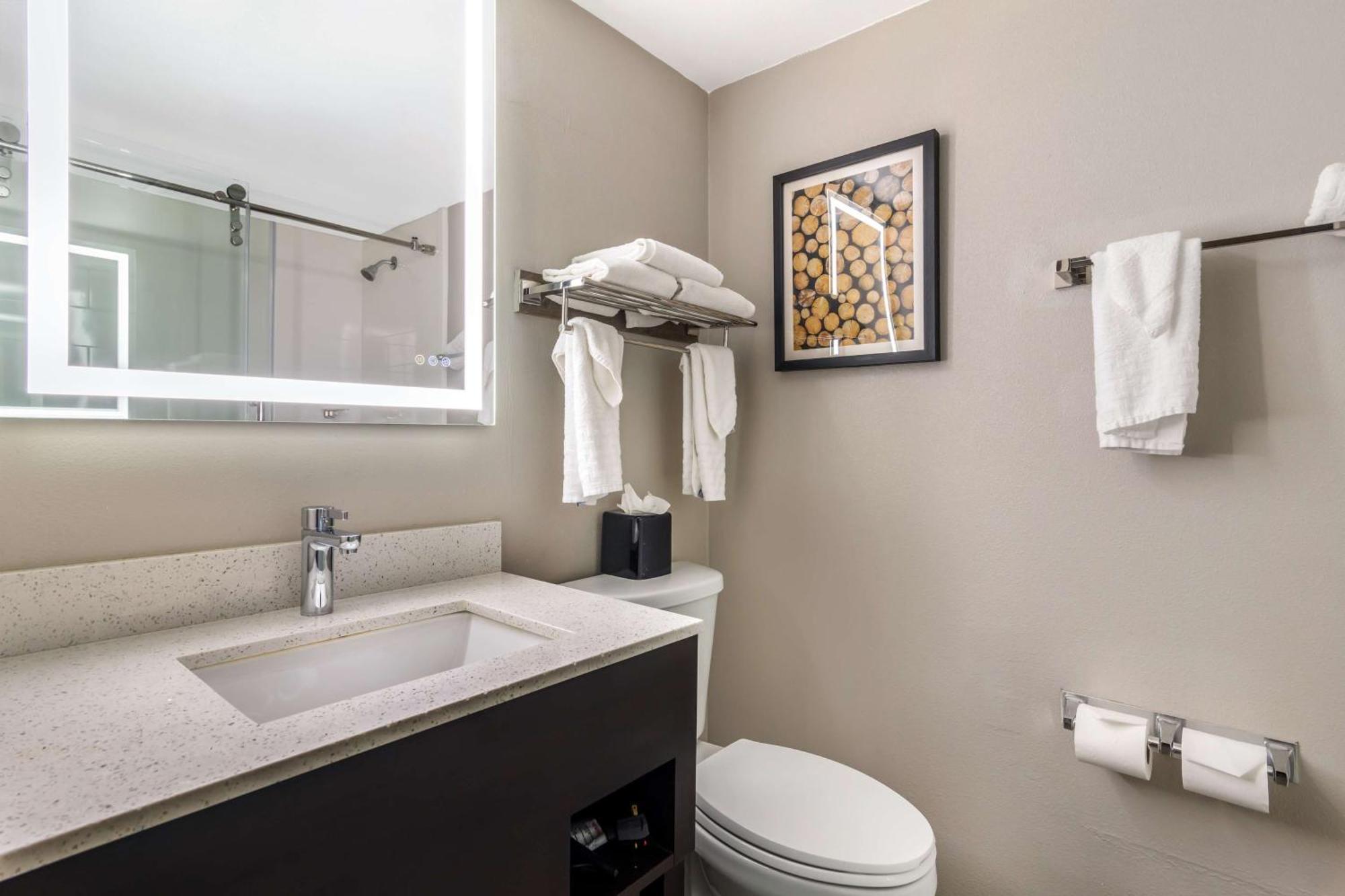 Waterford Best Western Atlanta-Marietta Ballpark Hotel מראה חיצוני תמונה